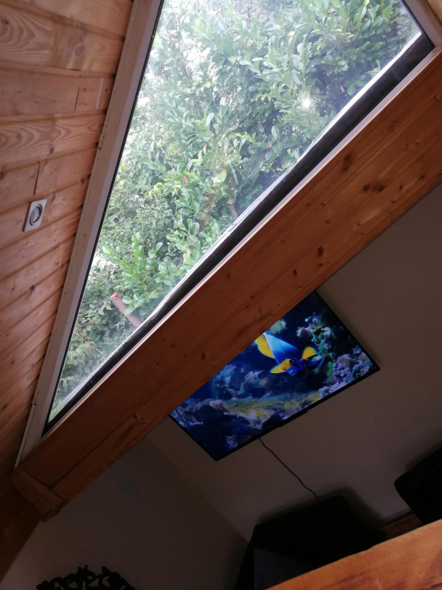 Wohlfuehloase - Zimmer, Appartment - Im Herzen Starnbergs ห้อง รูปภาพ